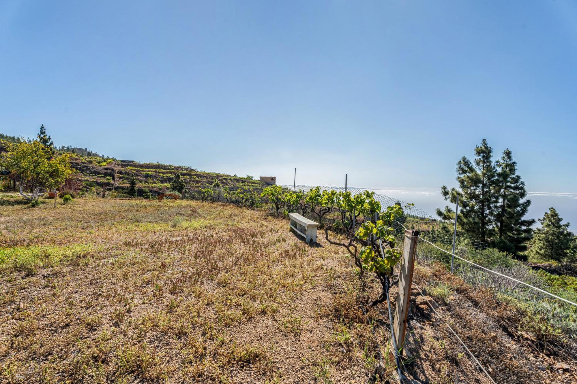 Land Of Dreams 2 Villa Granadilla De Abona Exterior photo